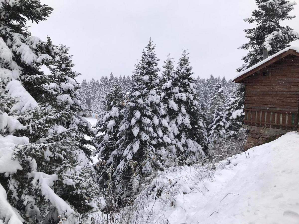 Elifim Resort Hotel Bolu Ngoại thất bức ảnh